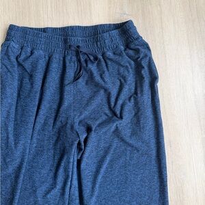 Outdoor voices cloudknit Blue Pants